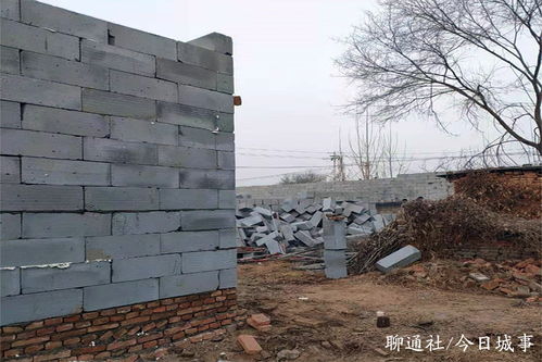 一夜之間數十院落拔地起——山東茌平“突擊建房”風潮背后的基層治理難題